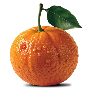 Zesty Clementine PNG 79