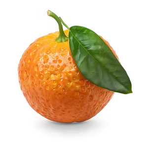 Zesty Clementine PNG 98