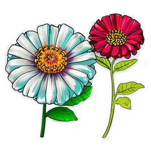 Zinnia Flower Sketch PNG 05252024 PNG