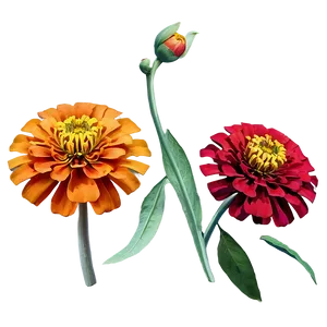 Zinnia Flower Sketch PNG 05252024 PNG
