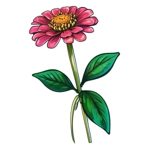 Zinnia Flower Sketch PNG Asj PNG