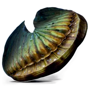 Zombie Clam Halloween PNG Niq17 PNG