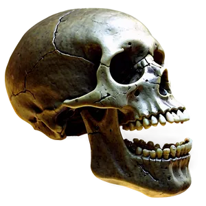 Zombie Skull And Bones Png Whu PNG image