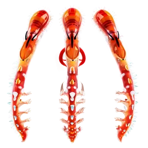 Zooplankton 3d Model PNG Fyf94 PNG