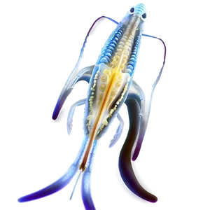Zooplankton Anatomy PNG 06292024