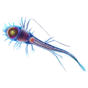 Zooplankton B PNG image