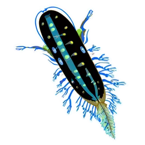 Zooplankton Clipart PNG 06292024 PNG