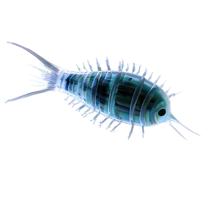 Zooplankton Close-up PNG 06292024