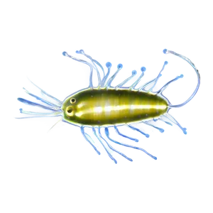 Zooplankton In Marine Biology PNG 06292024 PNG