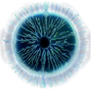 Zooplankton In Ocean Ecosystem PNG Ytt31 PNG