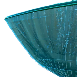 Zooplankton In Plankton Net PNG 06292024