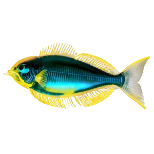 Zooplankton In Water Sample PNG 87 PNG