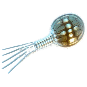 Zooplankton Microphotography PNG Ktl