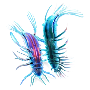 Zooplankton Scientific Illustration PNG Mnf PNG