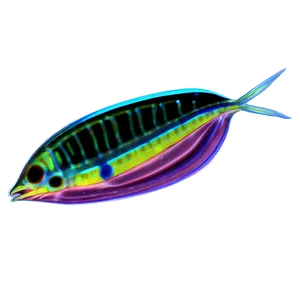 Zooplankton Scientific Illustration PNG Mnq