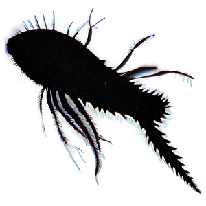 Zooplankton Silhouette PNG Nae95 PNG