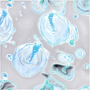 Zooplankton Swarm PNG 06292024