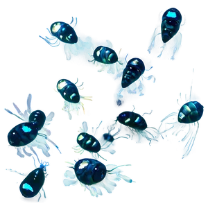 Zooplankton Swarm PNG 06292024