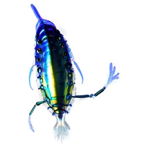 Zooplankton Transparent Background PNG 06292024