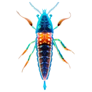 Zooplankton Transparent Background PNG 83 PNG