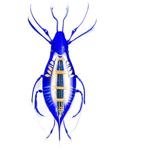 Zooplankton Transparent Background PNG Oub47 PNG