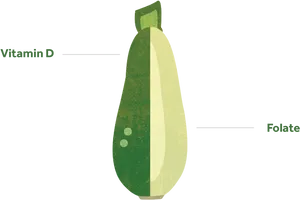 Zucchini Nutrient Content Illustration PNG image